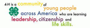 4-H Message: a community of young people across america who are learning leadership, citzenship and life skills