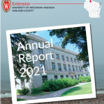 photo of courhouse layered over photo of lake superior with "Annual Report 2021" written