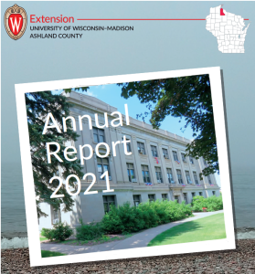 photo of courhouse layered over photo of lake superior with "Annual Report 2021" written