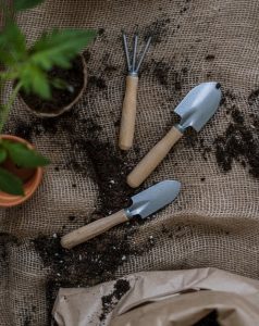 Webinars for WI Gardeners – Late Season Issues