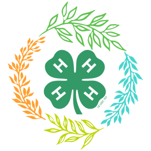 4-H Record Keeping Materials Available for 2023!