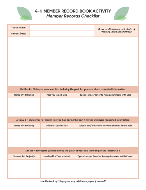 Example sheet for Member Record Checklist option.
