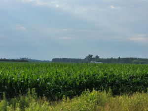 Summer/Fall 2025 Farm Tours!