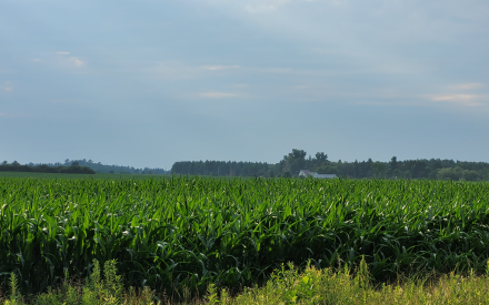 Summer/Fall 2025 Farm Tours!