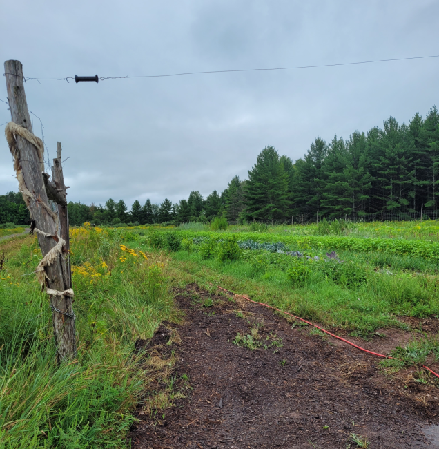 wooden fence post with dirt path leading to a field