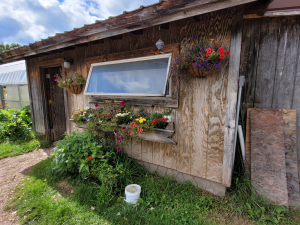 Ashland County Grows -Food Producers Newsletter- September 2025