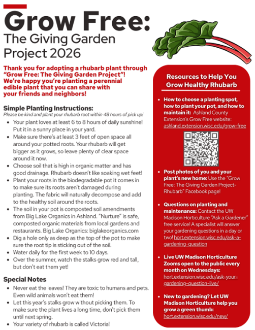 image of first page of the rhubarb handoud. Grow Free: The Giving Garden Project 2026 in large text with planting instructions and resource links to the side. Full information in the download titled "rhubarb handout"