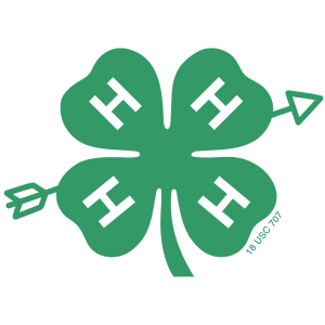 4-H Youth Summer Archery Club!