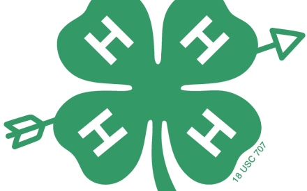 4-H Youth Summer Archery Club!